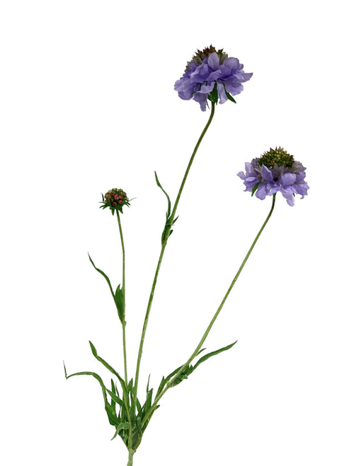 My Flowers.shop Lilakleurige scabiosa zijden bloem | Lengte 65 centimeter | Per stuk - vtwonen shop