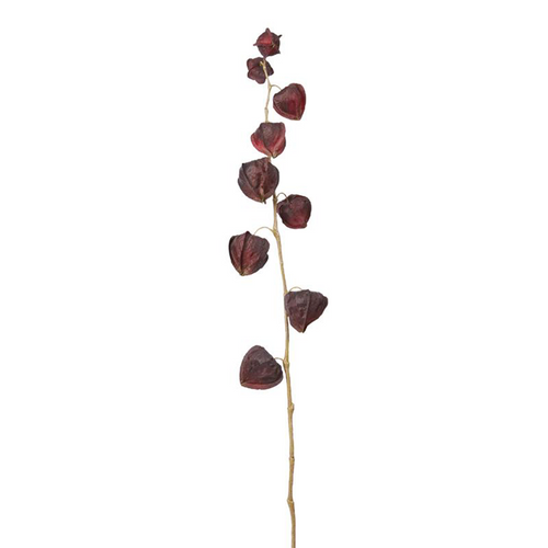 Sia Deco Kunstmatige Physalis Stengel - Bordeaux - H54 - vtwonen shop