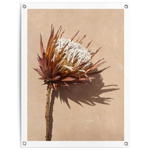 Reinders Shadow Still tuinposter -  bruin - tuin - 80x60cm