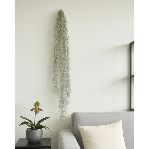 Flourify Kunstplant - Tillandsia rank - 146 cm - bundel van 4 - vtwonen shop