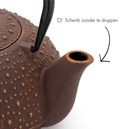 Bredemeijer - Theepot Anhui 0,9L gietijzer aubergine