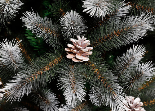 Black Box Trees Pittsfield Kunstkerstboom met LED Verlichting - H215 x Ø117 cm - Groen Frosted