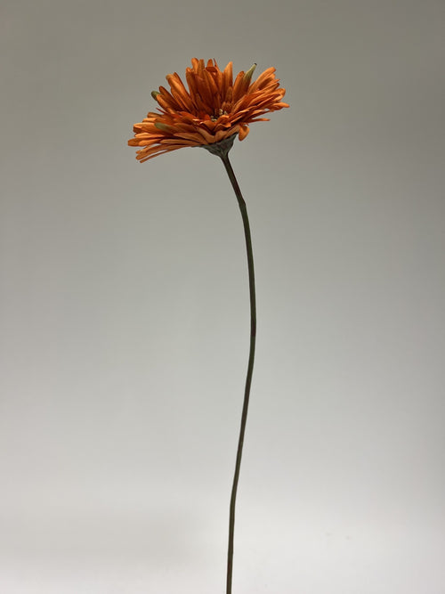 My Flowers.shop Oranje gerbera zijden bloem | Lengte 70 centimeter | Per stuk - vtwonen shop