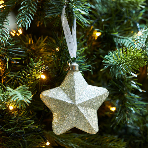 Rivièra Maison Wish Upon A Star Ornament  - Glas - Zilver - vtwonen shop