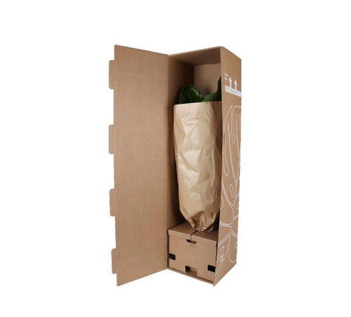 Trendyplants - Verrassingsbox - 6 kamerplanten inclusief elho Vibes Fold Round geel - Hoogte 20-40 cm - Potmaat Ø14cm - vtwonen shop