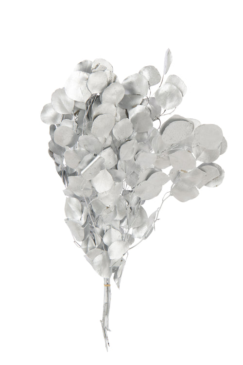J-Line droogbloemen Eucalyptus - zilver - vtwonen shop