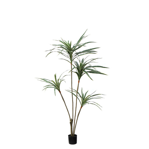 Sia Deco - Yucca boom in pot 155 cm - Groen  - Polyester - H155 - vtwonen shop