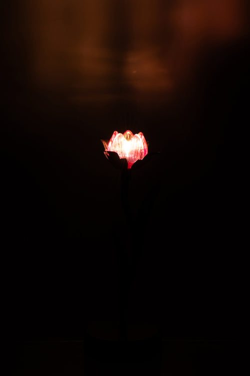 J-Line lamp Bloem - ijzer - zwart/roze - small - LED lichtjes
