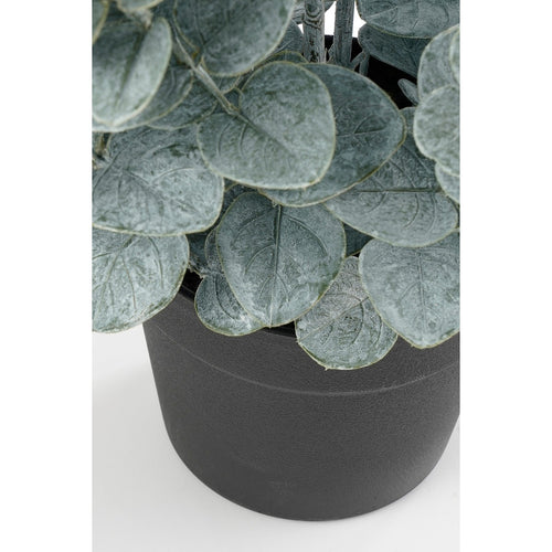 Mica Decorations Eucalyptus Kunstplant in Pot - H97 x Ø38 cm - Groen