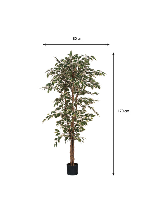 Mica Decorations Ficus Kunstplant - H180 x Ø90 cm - Groen Bont