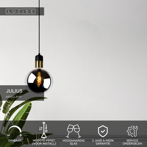 Lucide hanglamp JULIUS - 1xE27 - Fumé