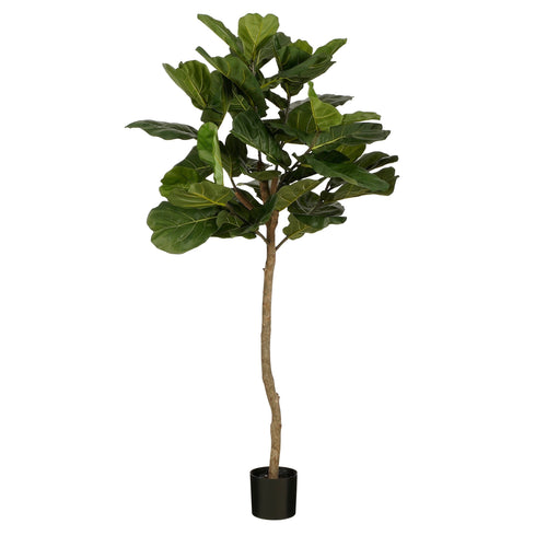 Mica Decorations Ficus Lyrata Kunstplant - H165 x Ø95 - Groen - vtwonen shop