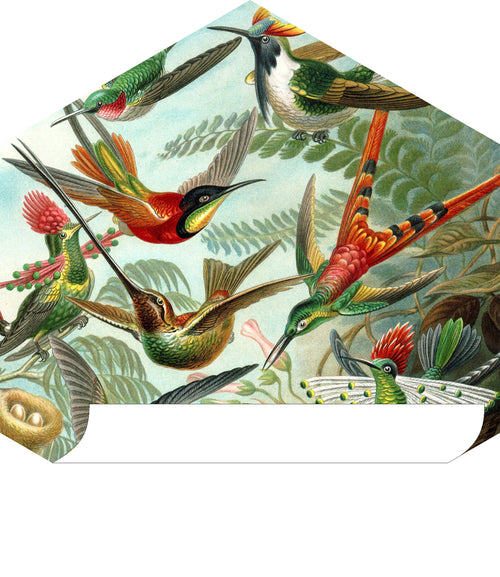 ESTAhome muursticker vogels tropisch junglegroen - 70 x 81 cm - 158999 - vtwonen shop