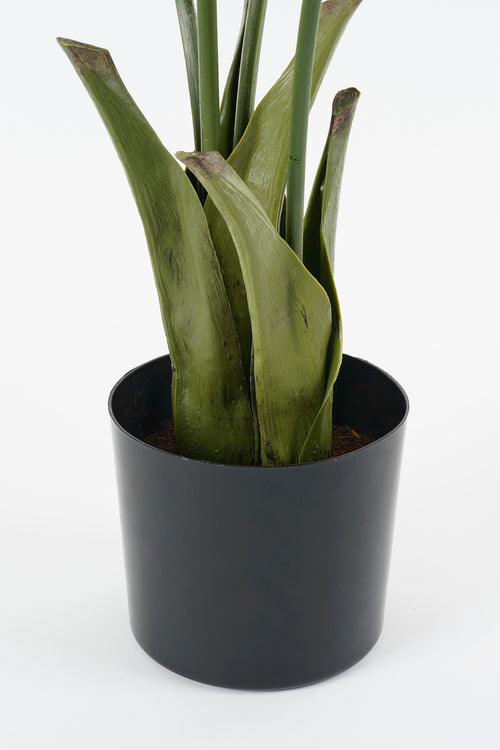 Mica Decorations Vissenstaart Palm Kunstplant in Pot - H150 x Ø100 cm - Groen