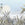Sanders & Sanders fotobehang jungle-motief groen - 424 x 280 cm - 640778