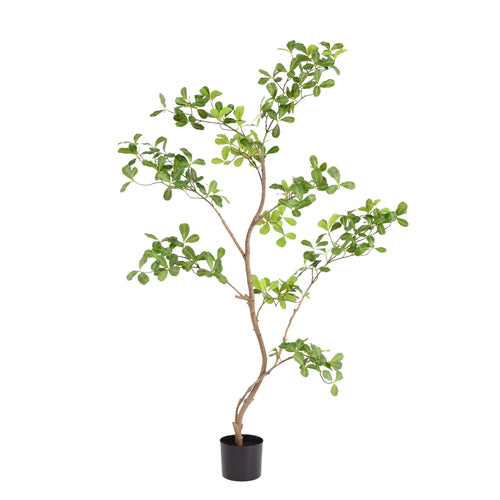 Maxifleur Pittosporum kunstplant 120cm