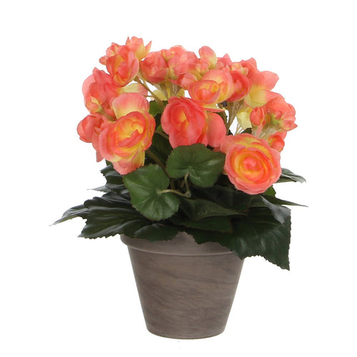 Mica Decorations Begonia Kunstplant in Bloempot Stan - H30 x Ø25 cm - Zalmroze