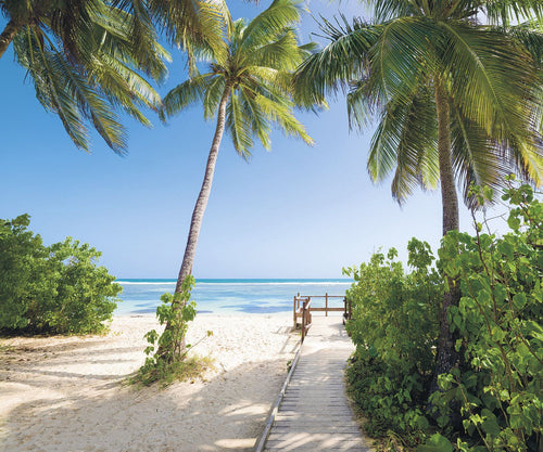 Sanders & Sanders fotobehang palmbomen op het strand groen 300 x 250 cm 612538