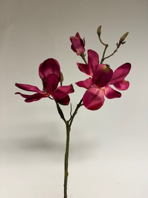 My Flowers.shop Fuchsiakleurige magnolia zijden bloem | Lengte 60 centimeter | Per stuk - vtwonen shop