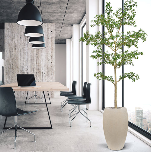 Maxifleur Bucida shady Lady Kunstboom 270cm groen