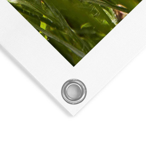 Reinders tuinposter Bloemenveld - 80x60cm
