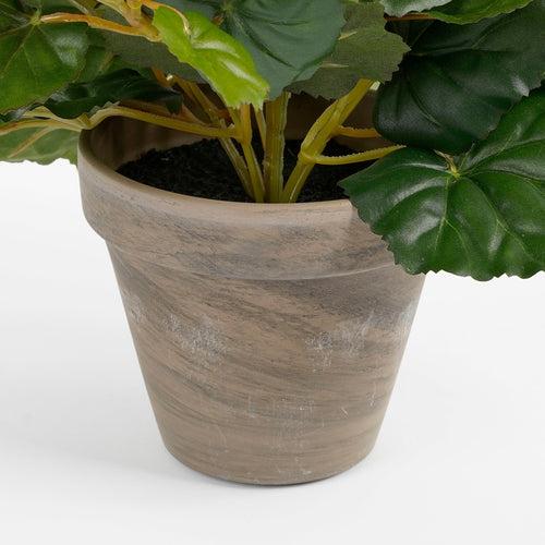 Mica Decorations Begonia Kunstplant in Bloempot Stan - H30 x Ø25 cm - Zalmroze