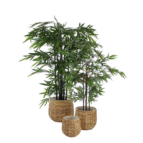 Mica Decorations Bamboe Kunstplant - H120 x Ø75 cm - Groen