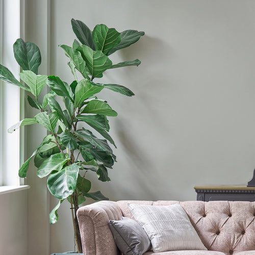 Laura Ashley Pale Sage Leaf Muurverf - 2,5 Liter - Groen - Mat - vtwonen shop