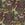 Sanders & Sanders fotobehang jungle dieren bruin en groen - 424 x 280 cm - 640887