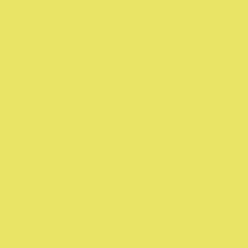 Graham & Brown Fineapple - Testerpot - Matte Muurverf - 100ml