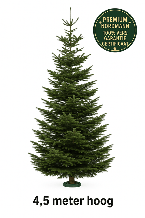 Furnilux Nordmann Kerstboom 400 - 450 cm - Zonder Kluit - XXL - vtwonen shop