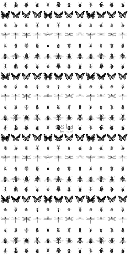 ESTAhome XXL behang pentekening insecten zwart wit - 50 x 900 cm - 158827 - vtwonen shop