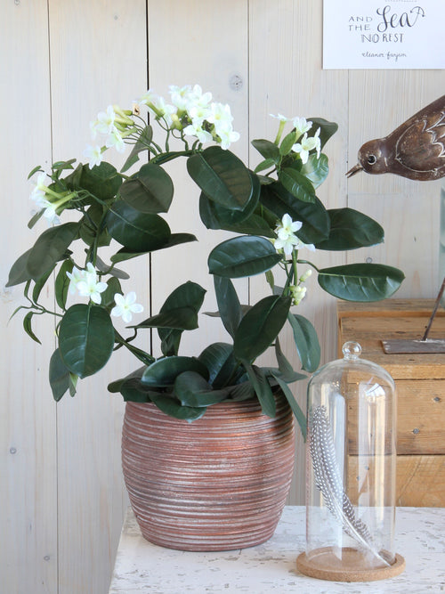 Mica Decorations Stephanotis Kunstplant in Bloempot Stan - H50 x Ø40 cm - Wit