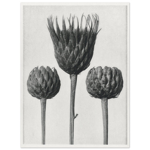 Artfulprints  Burst of bloom   poster 30x40 cm