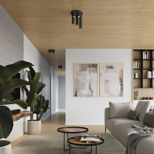 Sollux Lighting Plafondlamp LAGOS 3P zwart - 25x25x12cm