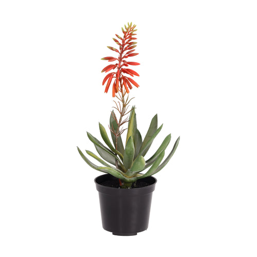 Maxifleur Aloe Vera kunstplant 30cm rood in kweekpot