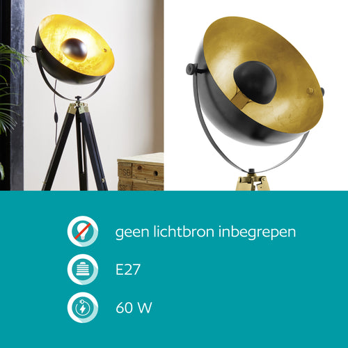 EGLO vloerlamp Covaleda - e27 - 164 cm - zwart, geelkoper, goud