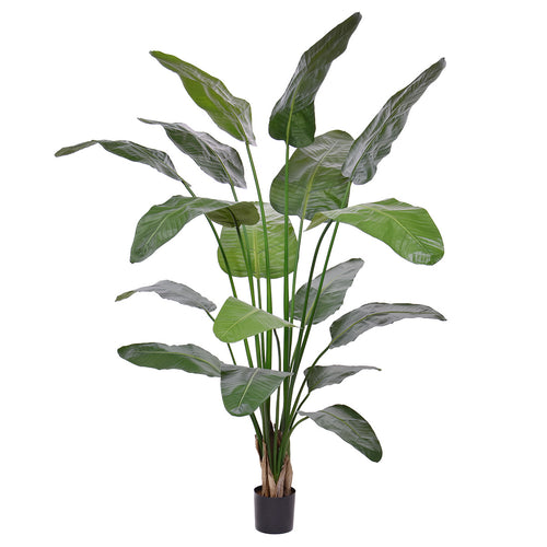 Maxifleur Strelitzia Nicolai deluxe Kunstpalm 200cm in pot