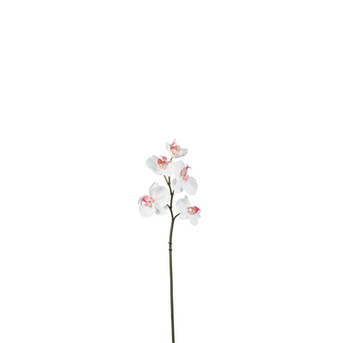 Sia Deco Orchidee Phalaenopsis Steel Kunstmatig - wit - H45 - vtwonen shop