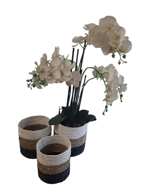 FurniLux Natuurlijke plantenbakken/ Mandenset - 20x20x21cm