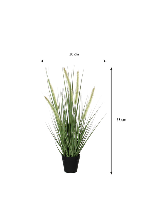 Mica Decorations Dogtail Gras Kunstplant - H53 x Ø30 cm - Groen