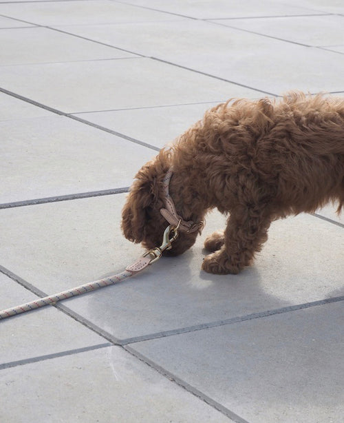 OYOY Halsband Perry - leder - vtwonen shop