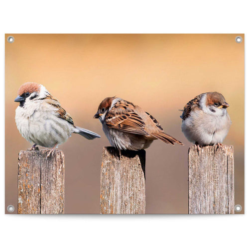 Reinders tuinposter Vogels - 60x80cm