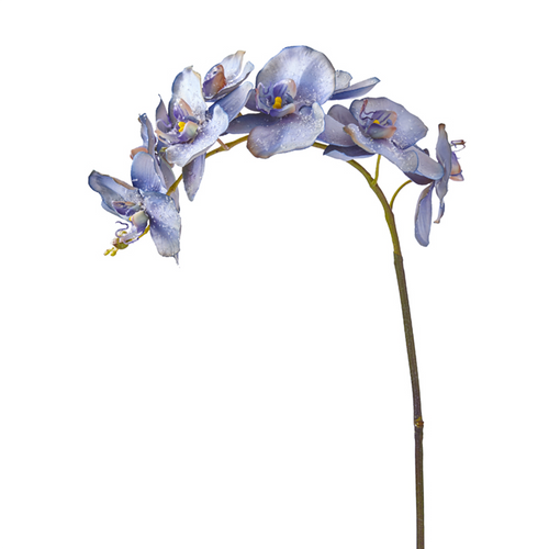 Sia Deco Kunstmatige Phalaenopsis Orchidee Stengel - Blauw - H100 - vtwonen shop