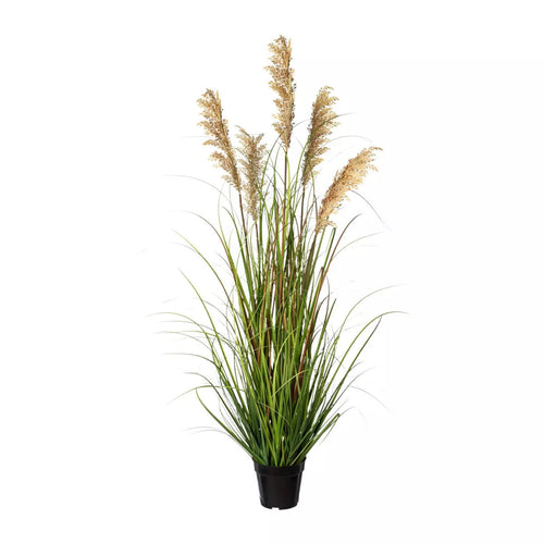 Flourify kunstplant - Siergras - 122 cm