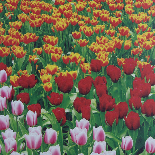 Art for the Home Buitencanvas - Nederlands Tulpenveld - 50x70cm