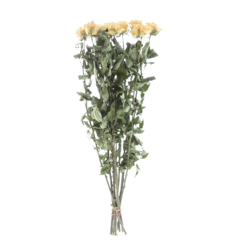 My Flowers.shop Tien gedroogde Peach Fuzz rozen | Lengte 50 centimeter | Per bos te bestellen - vtwonen shop