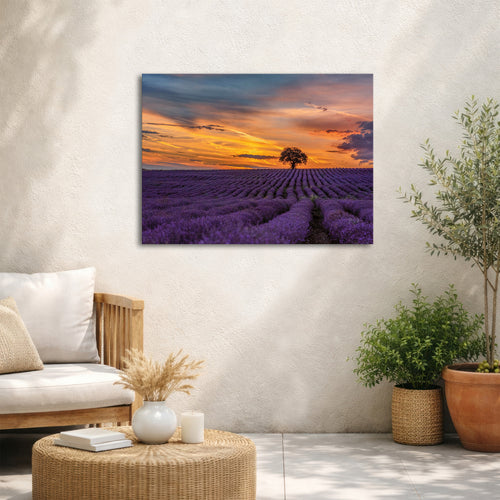 Art for the Home Buitencanvas - Lavendelveld bij zonsondergang - 50x70cm