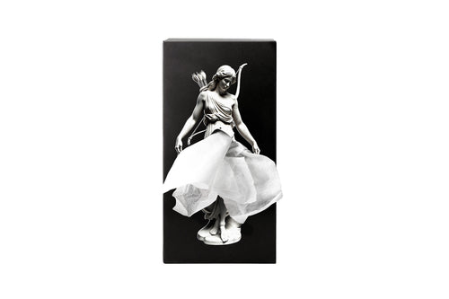 Spextrum Tissuehouder Tissue Up Mythology - Artemis