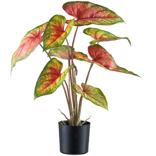 Flourify kunstplant - Caladium Red Flash - 55 cm